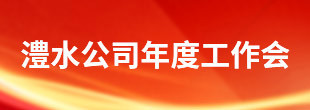 AG一飞冲天300倍游戏公司年度工作会